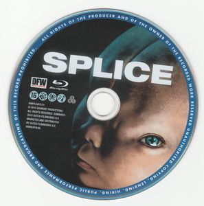 Splice