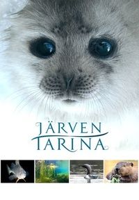 Järven Tarina