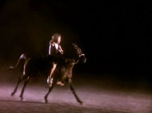 Tina Turner: The Best