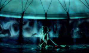 Tina Turner: Whatever You Want