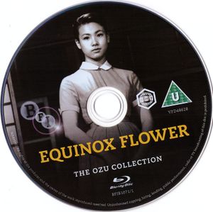 Equinox Flower