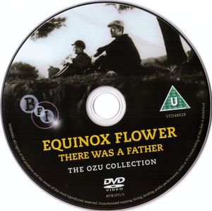 Equinox Flower