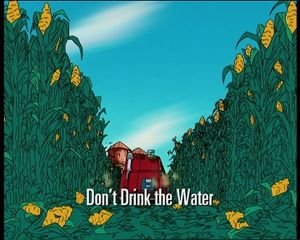 Don't Drink The Water