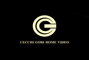 Cecchi Gori Home Video Srl