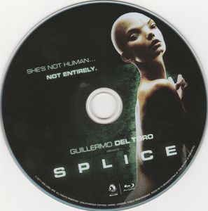 Splice