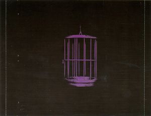 Miley Cyrus: Can't Be Tamed (Deluxe Edition)