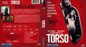 Torso