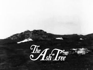 The Ash Tree
