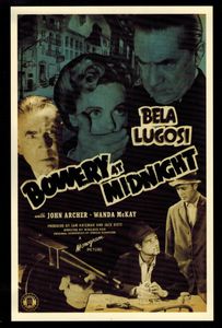 Bowery At Midnight