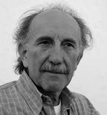 Nicola Di Pinto