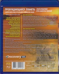 Пробуждающаяся Планета: Край Атлантики / Утро Семейства Тюленей