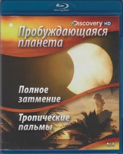 Пробуждающаяся Планета: Полное Затмение / Тропические Пальмы