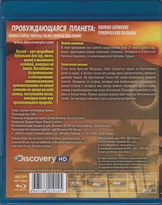 Пробуждающаяся Планета: Полное Затмение / Тропические Пальмы