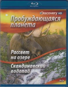 Пробуждающаяся Планета: Рассвет На Озере / Скандинавский Водопад