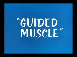 Guided Muscle