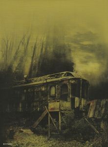 Twin Peaks - Definitive Gold Box Edition
