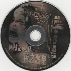 A Wicked Ghost II: The Fear