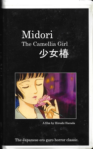 Midori - The Camellia Girl