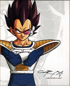 Dragon Ball Z - Level 1.1