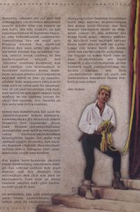 Robin Hood Der Rote Rächer