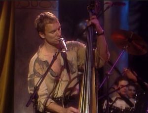 Sting: Message In A Bottle (MTV Unplugged)