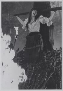 Draculas Hexenjagd