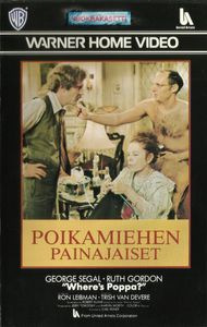 Poikamiehen Painajaiset