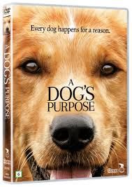 A Dog's Purpose