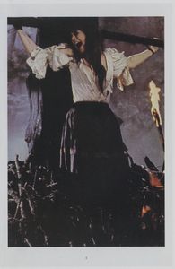 Draculas Hexenjagd