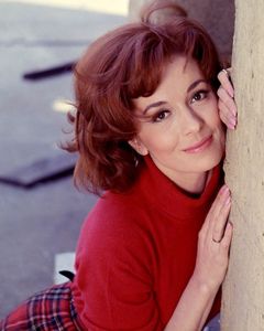 Barbara Shelley