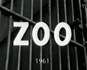 Zoo