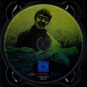 Nächte Des Grauens