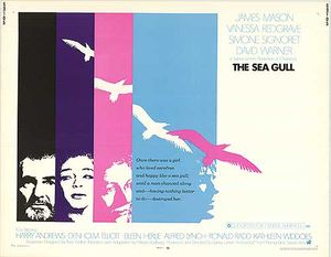 The Sea Gull