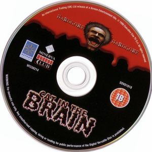 Cat In The Brain