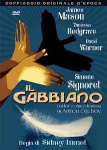 Il gabbiano