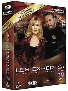 Les Experts L'Intégrale De La Saison 6