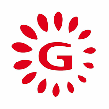 Gaumont Vidéo