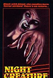 Night Creature