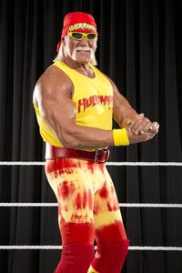 Hulk Hogan
