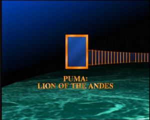 Puma: Lion of the Andes
