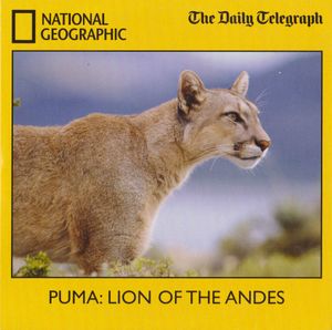 Puma: Lion of the Andes