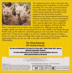 Puma: Lion of the Andes
