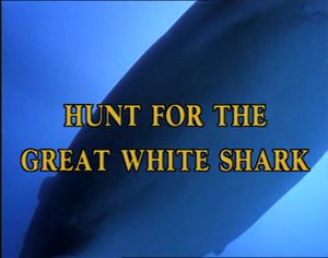 Hunt For The Great White Shark