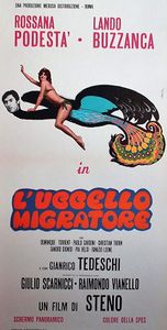 L'Uccello Migratore