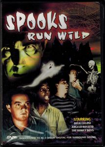 Spooks Run WIld
