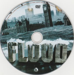Flood