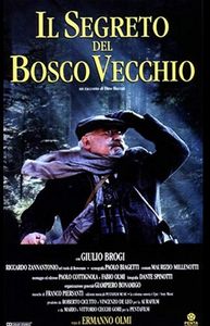 Il segreto del bosco vecchio 
