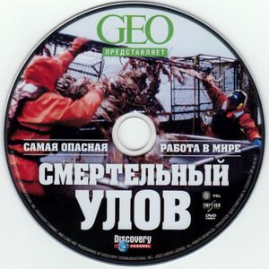 Смертельный Улов: Самая Опасная Работа В Мире