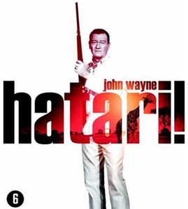 Hatari
