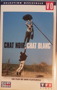 Chat noir, Chat blanc